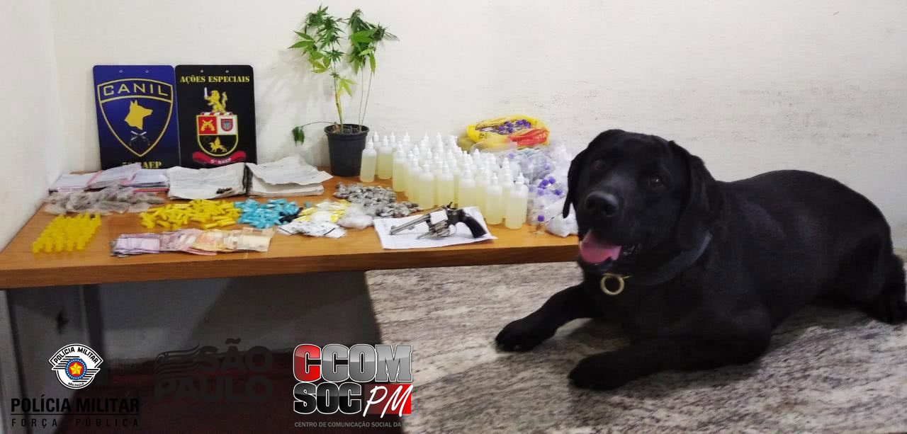 Cão da polícia encontra drogas em Itapevi